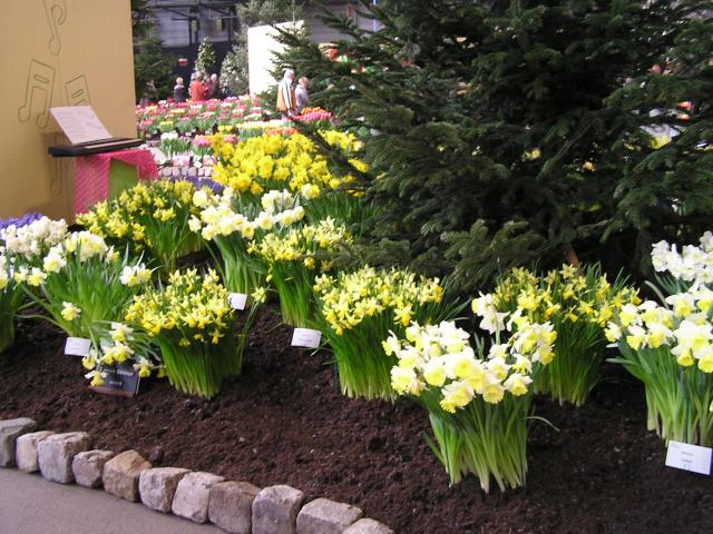 P1010214.JPG