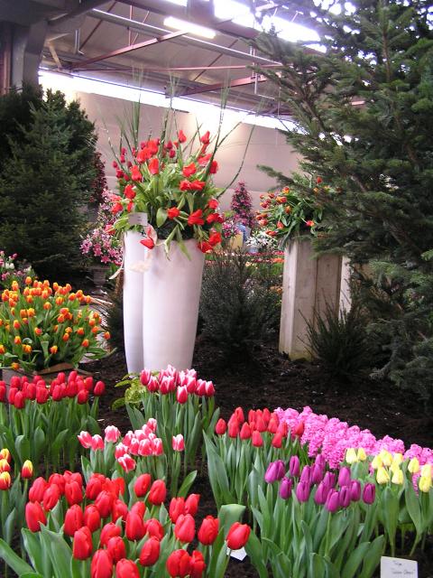 P1010166.JPG