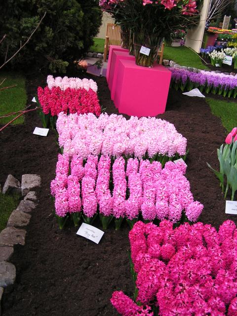 P1010168.JPG