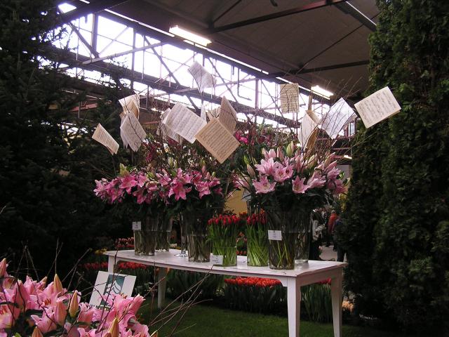 P1010172.JPG
