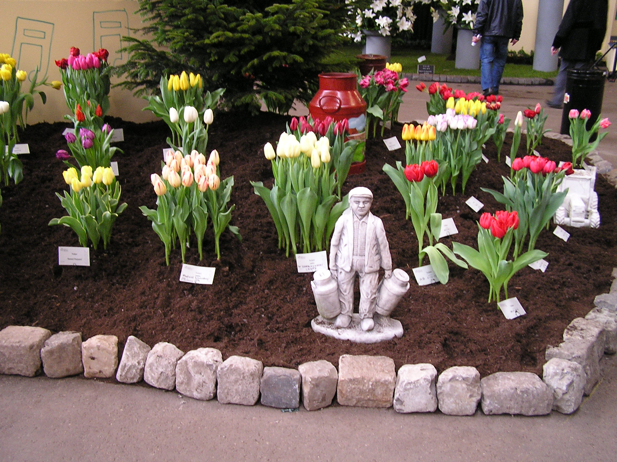 P1010182.JPG