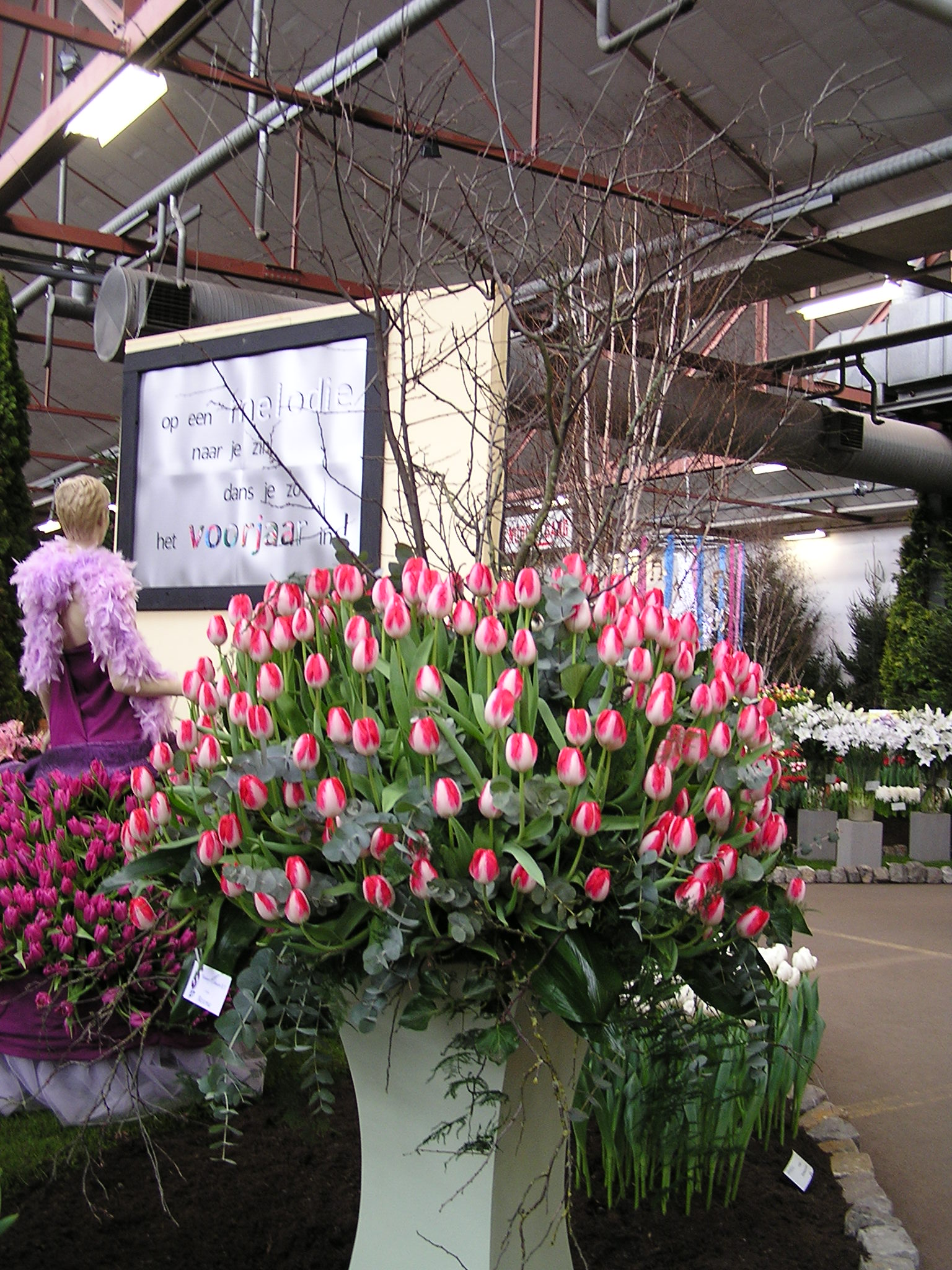 P1010161.JPG