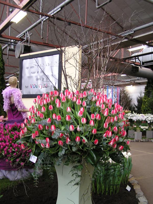 P1010161.JPG