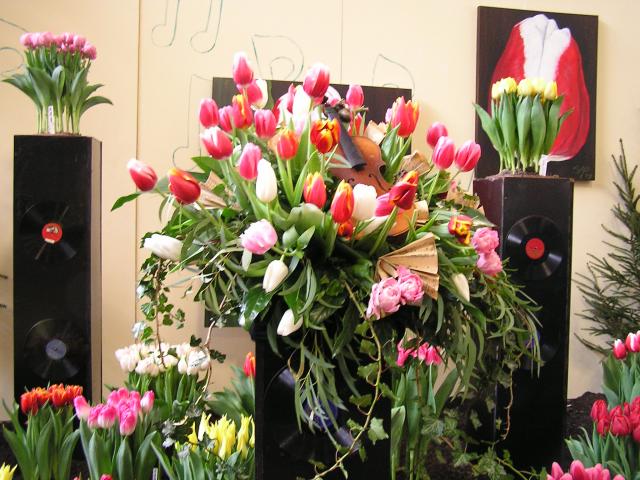P1010141.JPG
