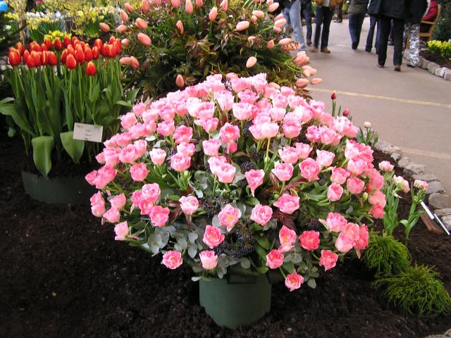 P1010156.JPG