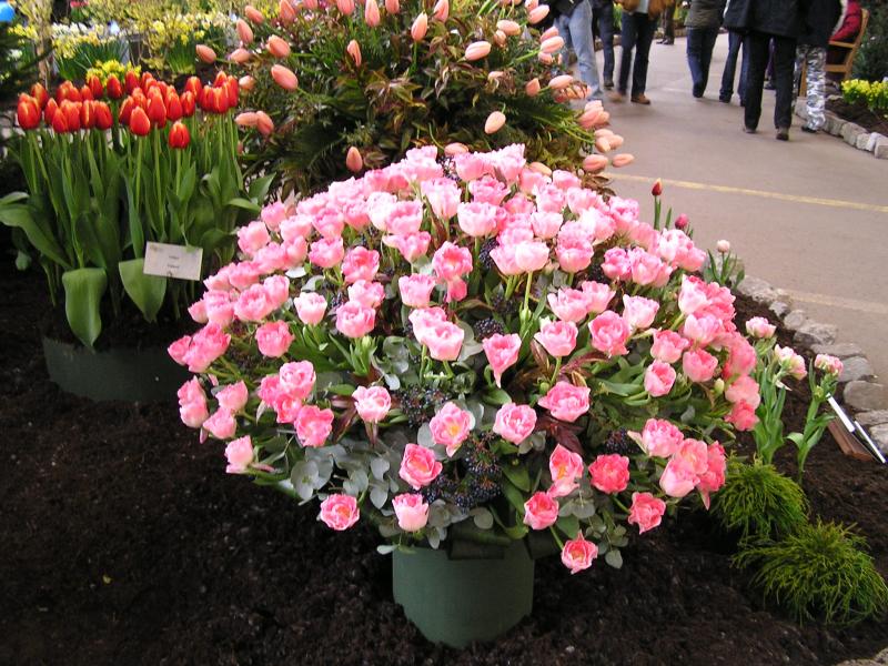 P1010156.JPG