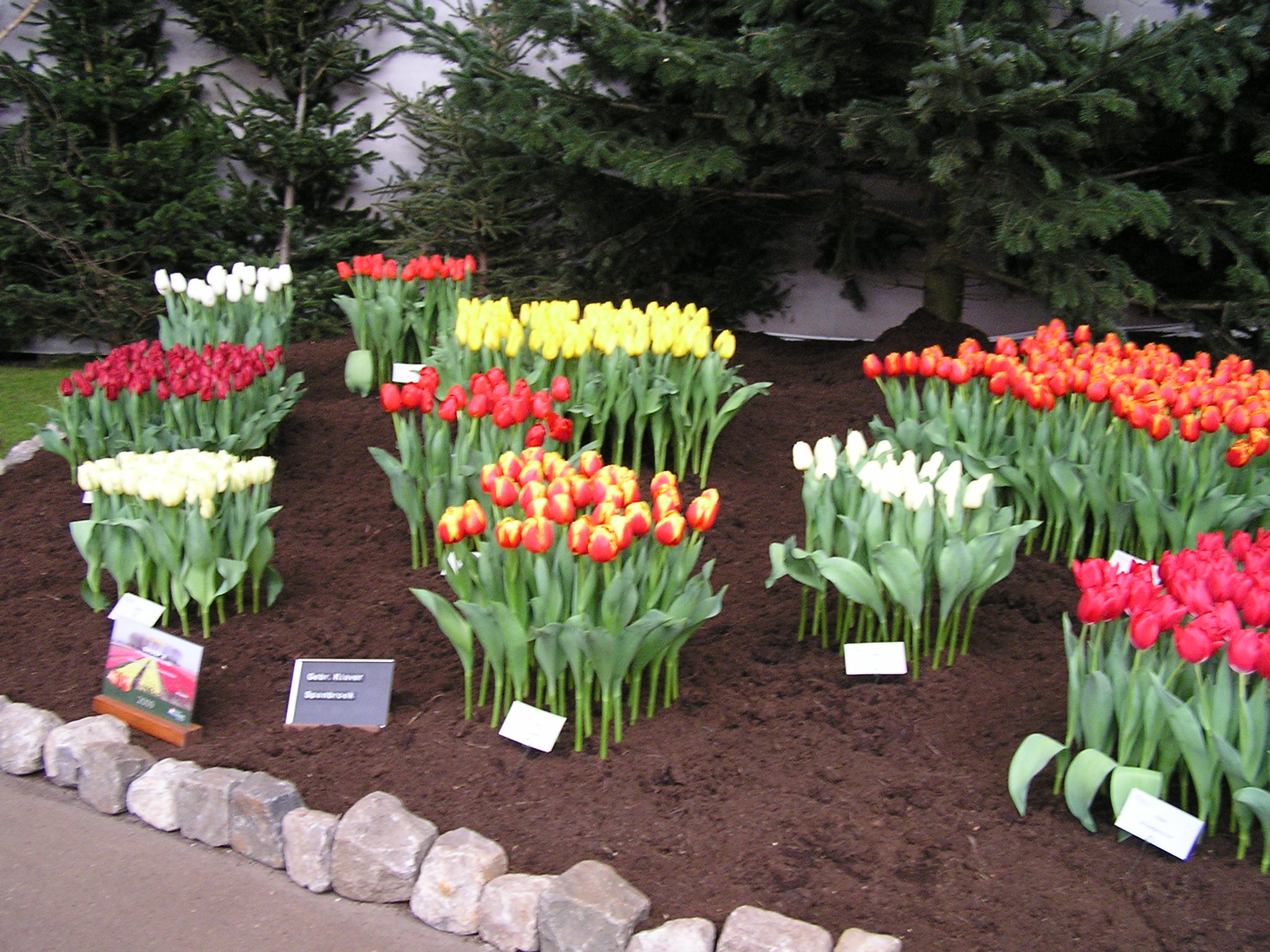 P1010124.JPG