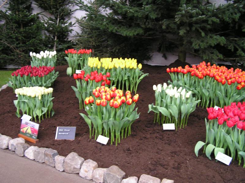 P1010124.JPG