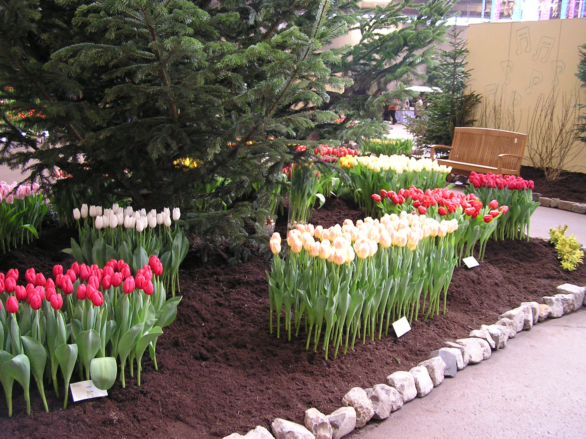 P1010121.JPG