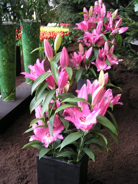 P1010117.JPG