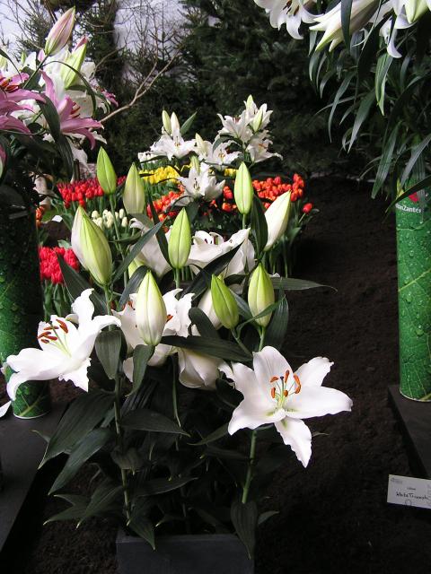 P1010119.JPG
