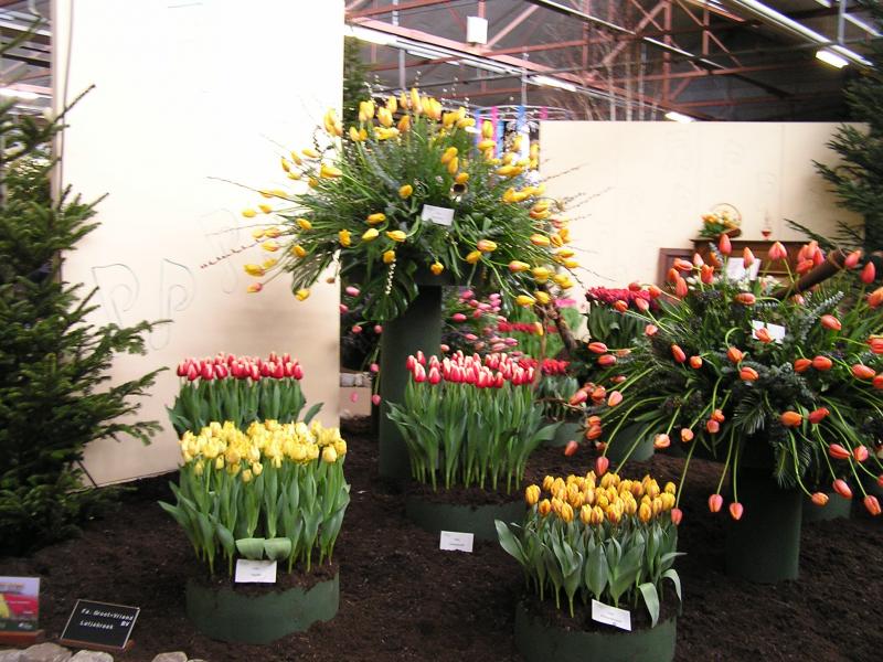 P1010091.JPG