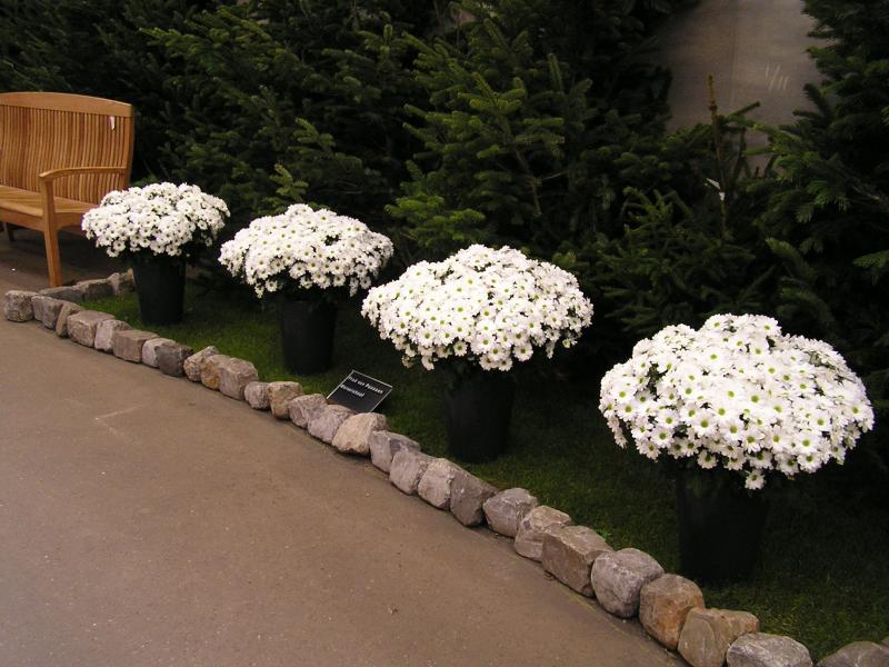 P1010094.JPG