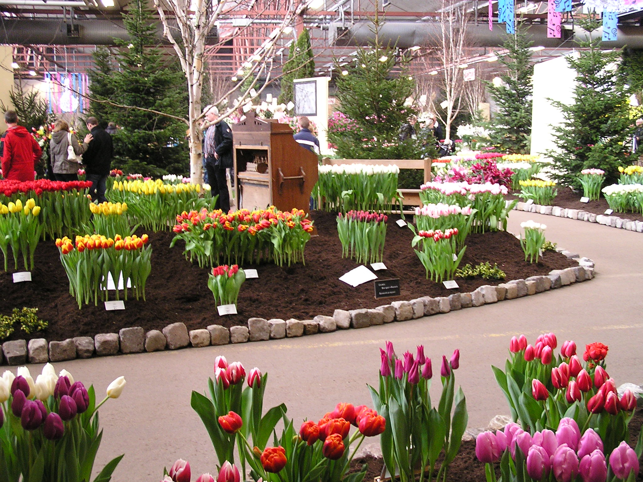 P1010106.JPG