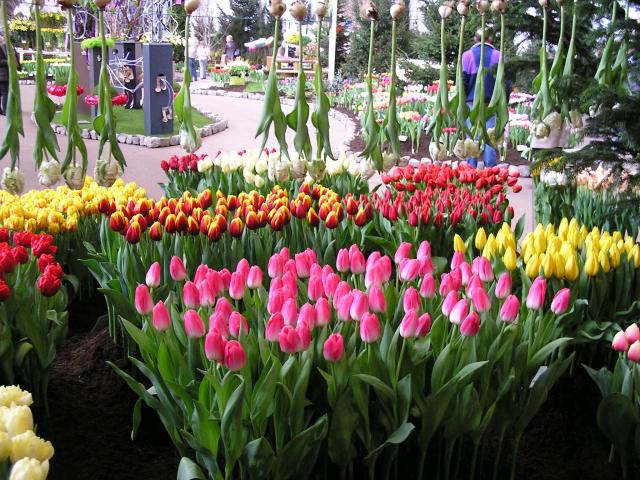 P1010108.JPG