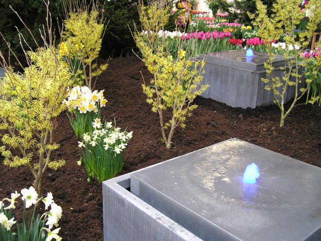 P1010089.JPG