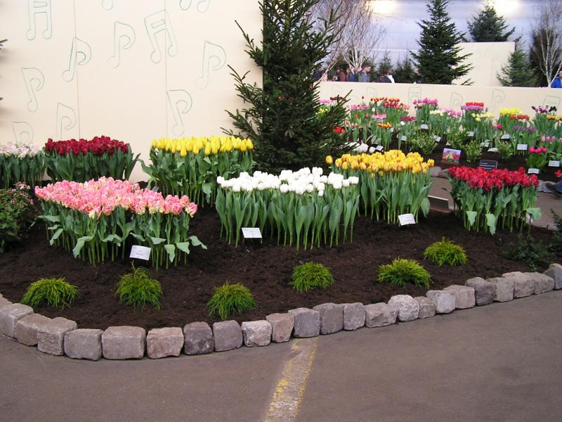 P1010073.JPG