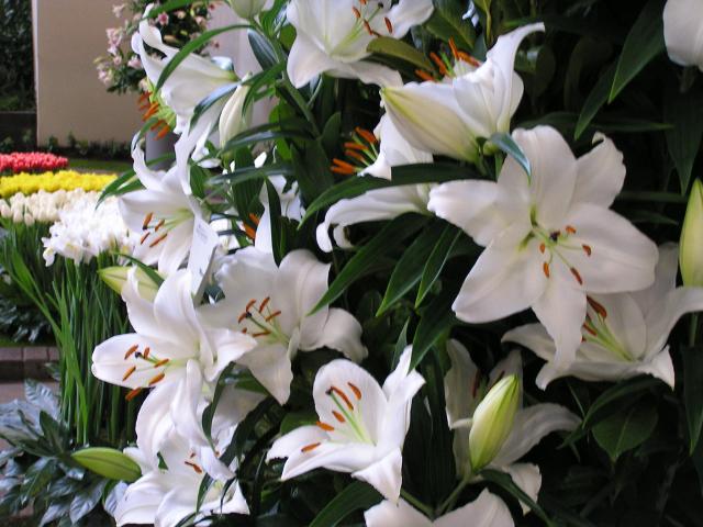 P1010038.JPG