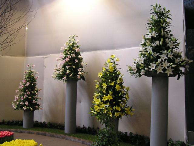 P1010042.JPG