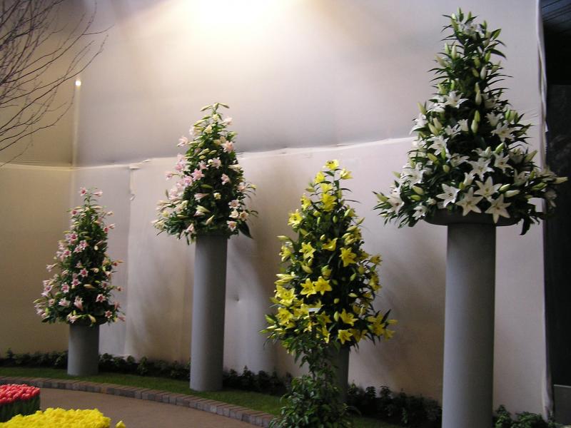 P1010042.JPG