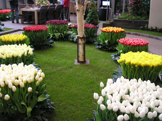 P1010043.JPG
