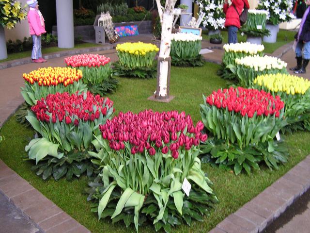 P1010048.JPG