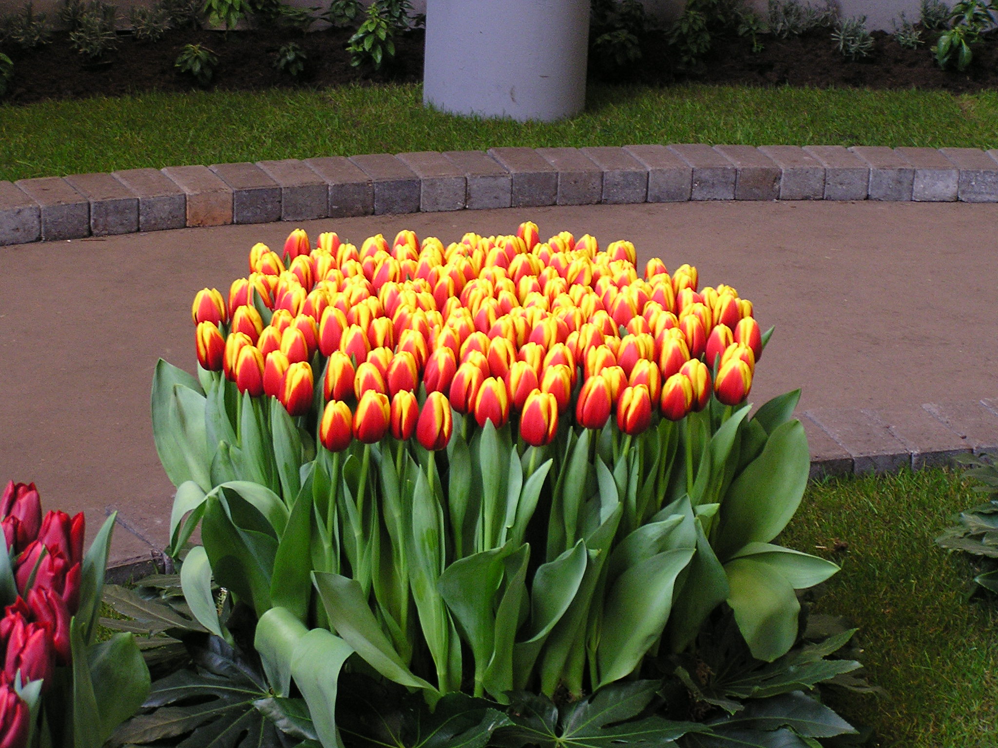 P1010050.JPG