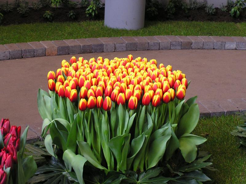 P1010050.JPG