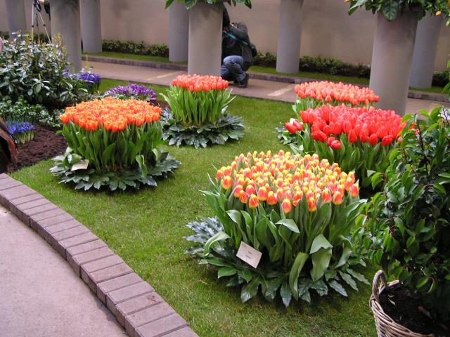 P1010054.JPG