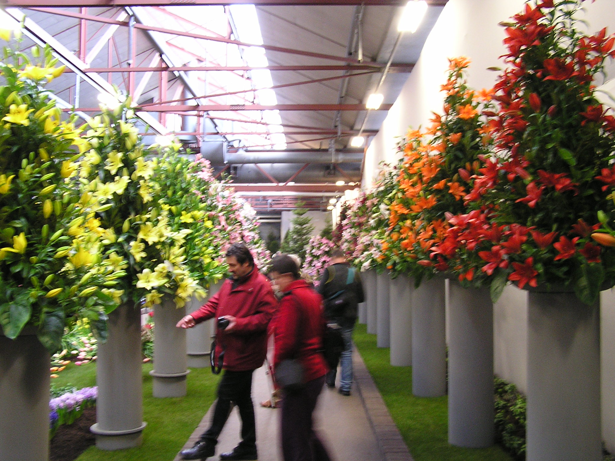 P1010055.JPG