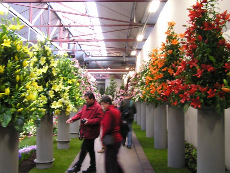 P1010055.JPG