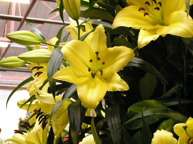 P1010058.JPG
