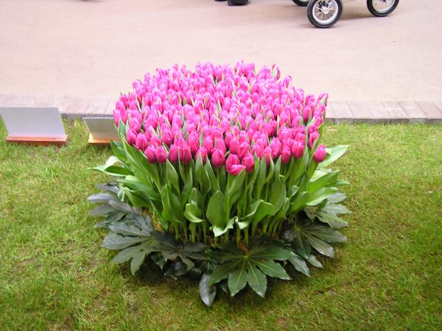 P1010064.JPG