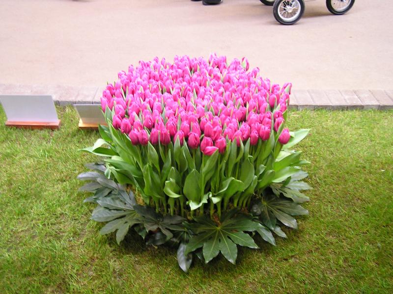 P1010064.JPG