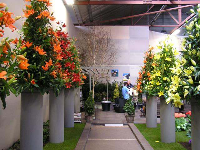 P1010068.JPG