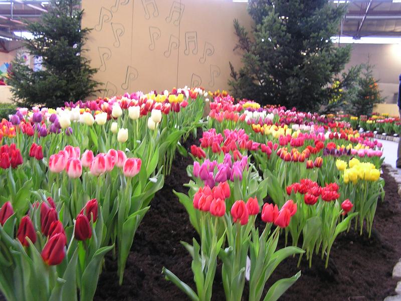 P1010023.JPG