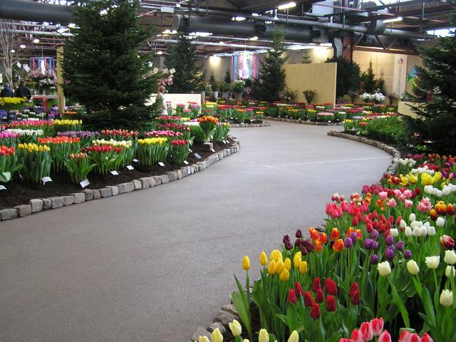 P1010024.JPG