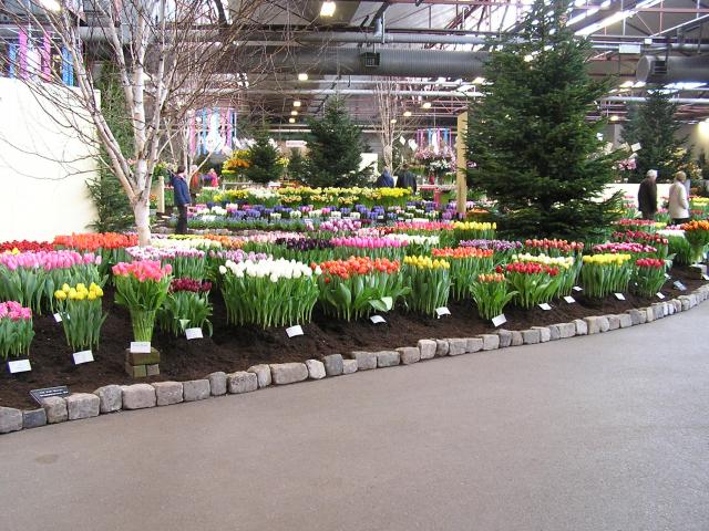 P1010025.JPG