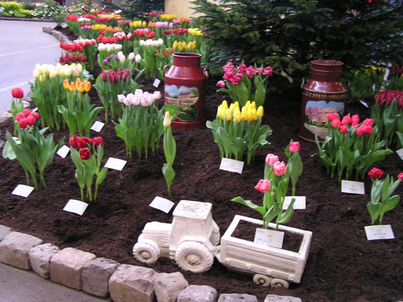 P1010035.JPG