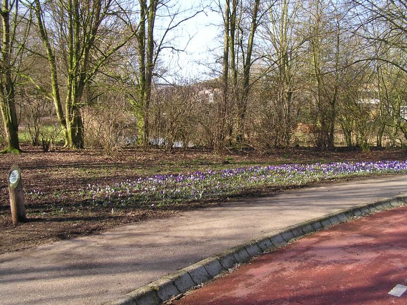 P1140061.JPG
