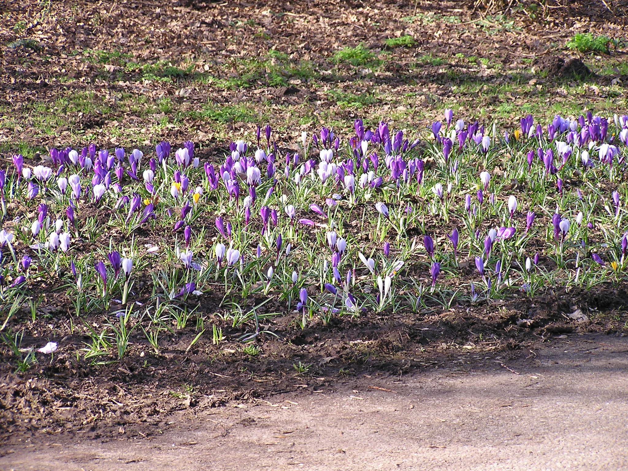 P1140062.JPG
