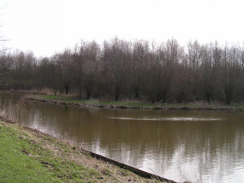 P1140009.JPG