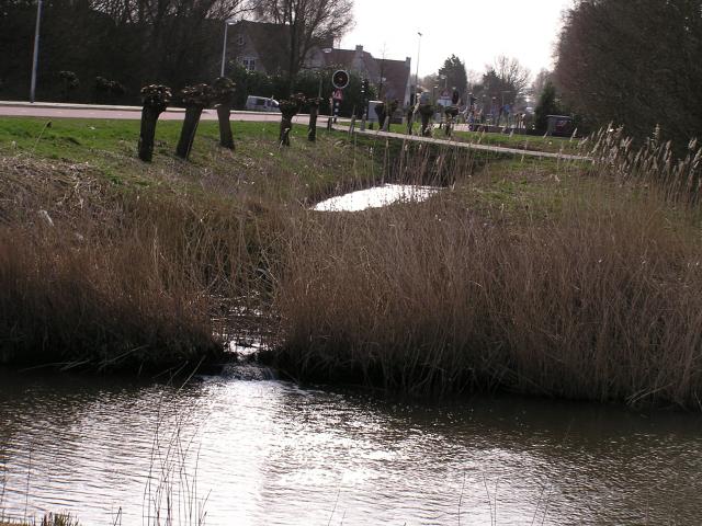 P1140011.JPG