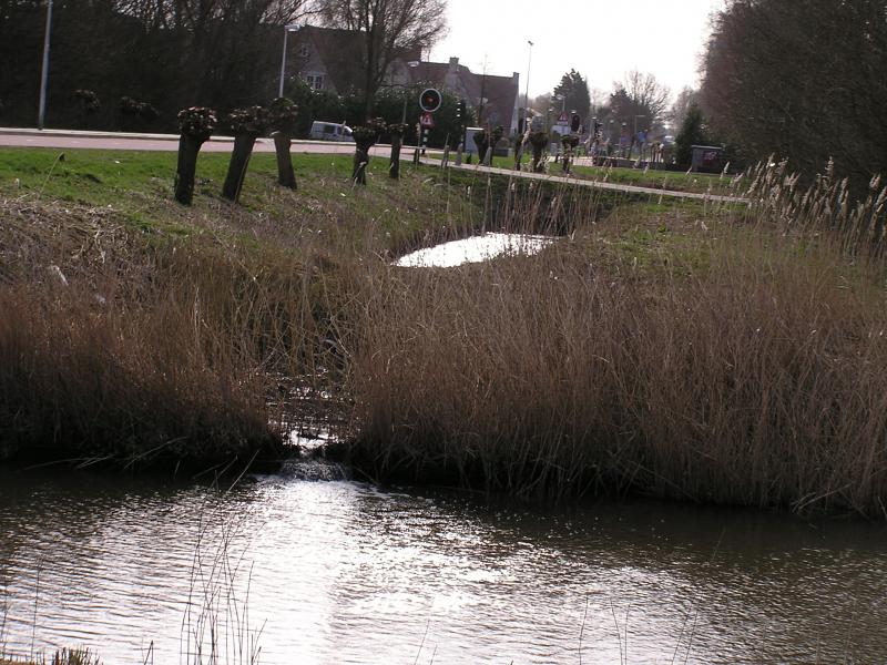 P1140011.JPG