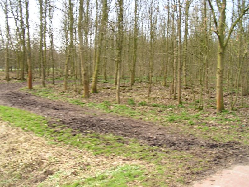 P1140015.JPG
