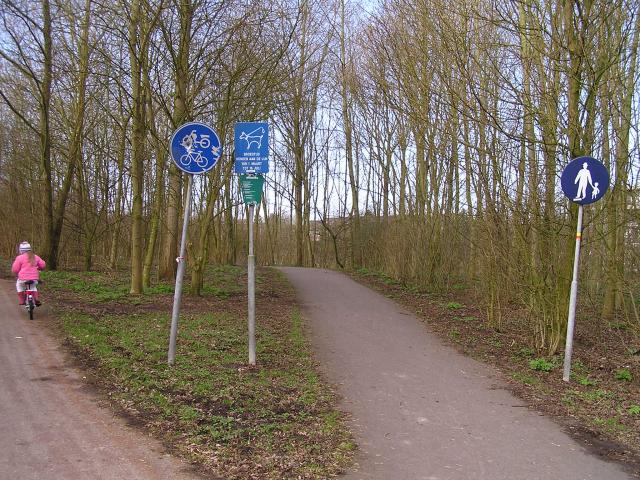 P1140016.JPG