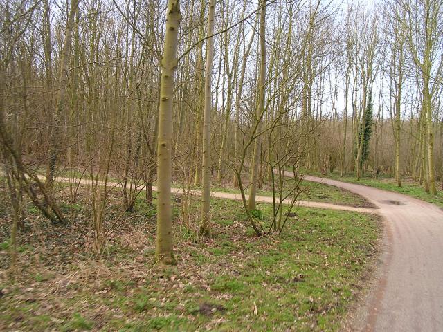 P1140020.JPG