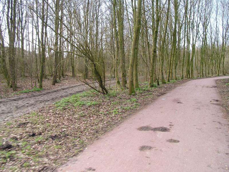 P1140024.JPG