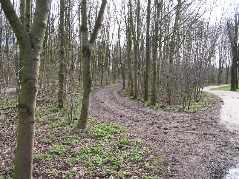 P1140032.JPG