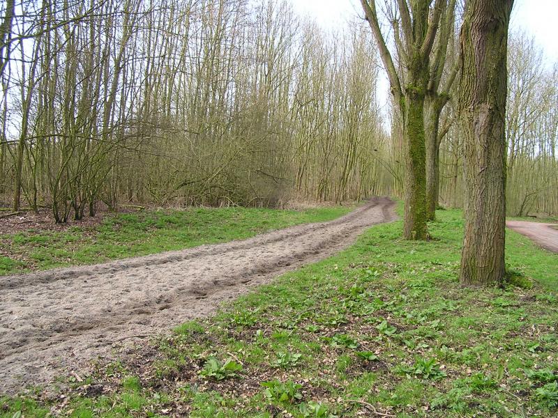 P1140033.JPG